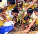 Tree Plantation by Royal Daughters