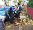 Cleanliness Campaign London, UK